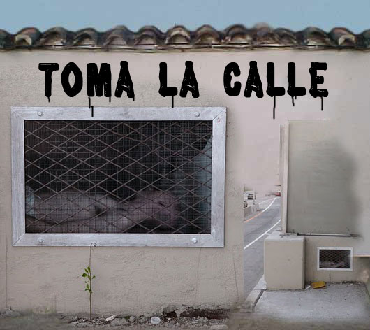 muro para pintar
