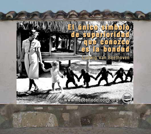 muro para pintar