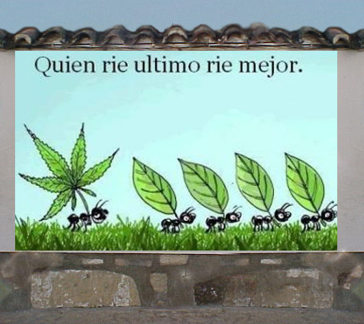 muro para pintar