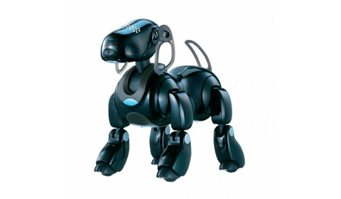 aibo robot