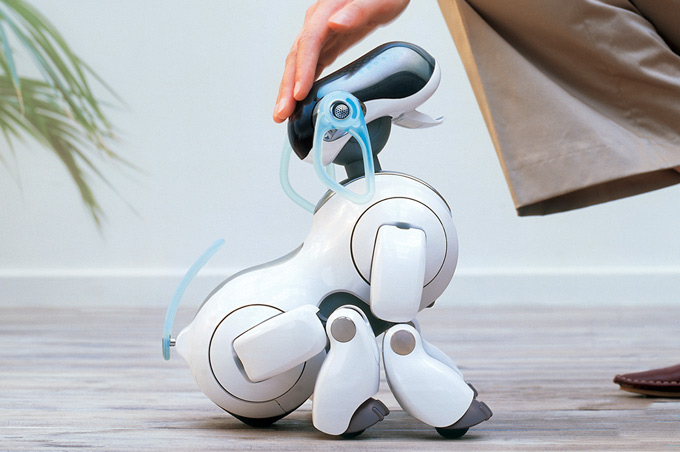 perro aibo